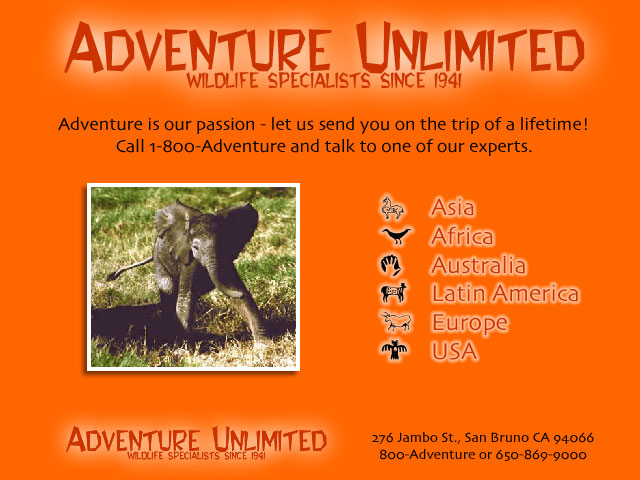 Splash page for Adventures Unlimited