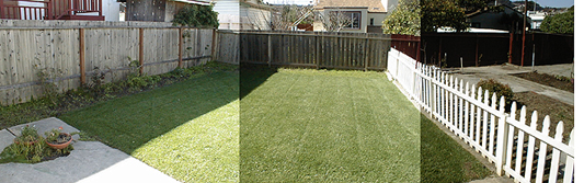 Panoramic shot of the back yard.