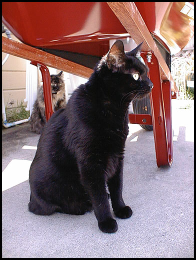 Keiko under the red wheelbarrow