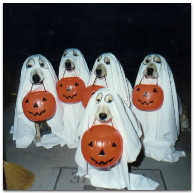 Little Ghosts